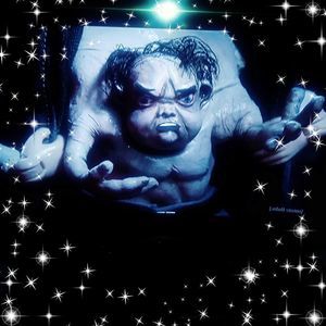 Meet your Posher, Bradley